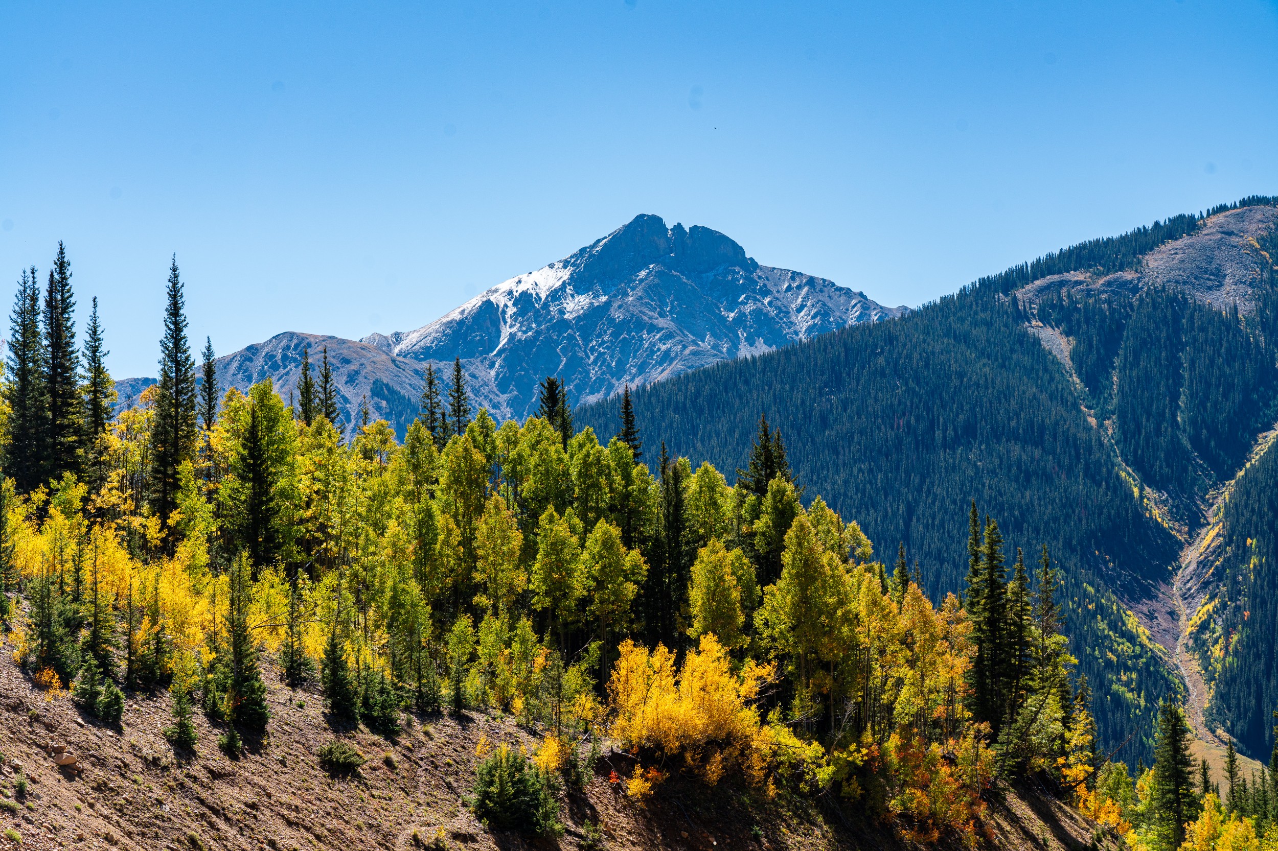 USA 2024 5 Sterne 27